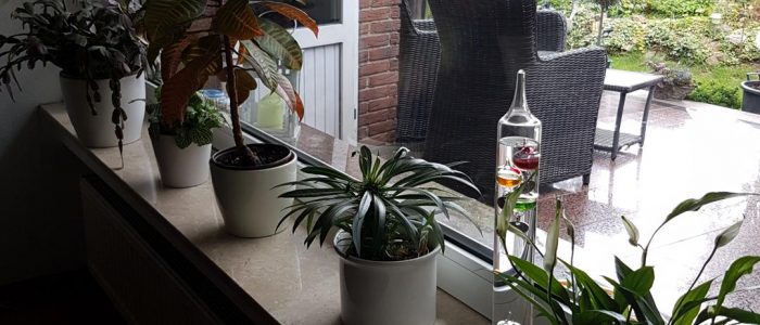Innen - Fensterbank in Naturstein Daino poliert
